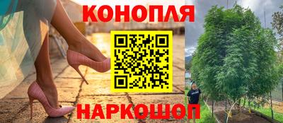 сатива Чебаркуль