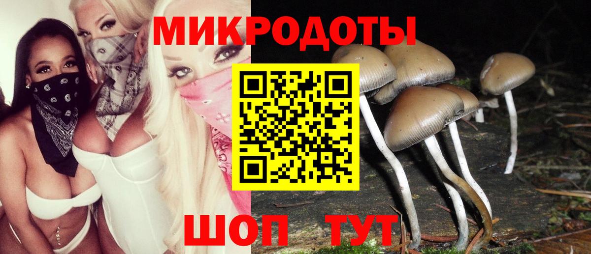 цены наркотик  Псилоцибиновые грибы Psilocybe  Вход с VPN  Выборг 
